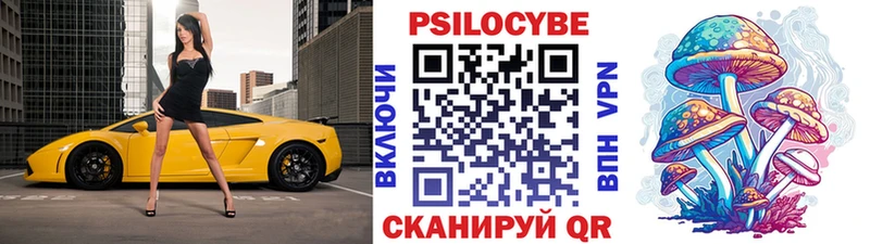 Галлюциногенные грибы GOLDEN TEACHER  Купить  Курлово 